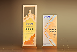 UG环球视讯ug国际一举斩获“2024年度中国区最佳雇主”等多项大奖